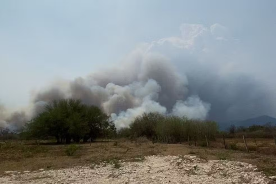 Novo incêndio atinge Área de Proteção Ambiental em Ladário (MS)