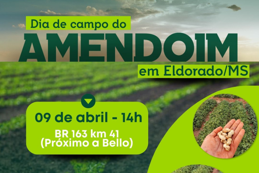 Eldorado promove Dia de Campo focado no fortalecimento do amendoim