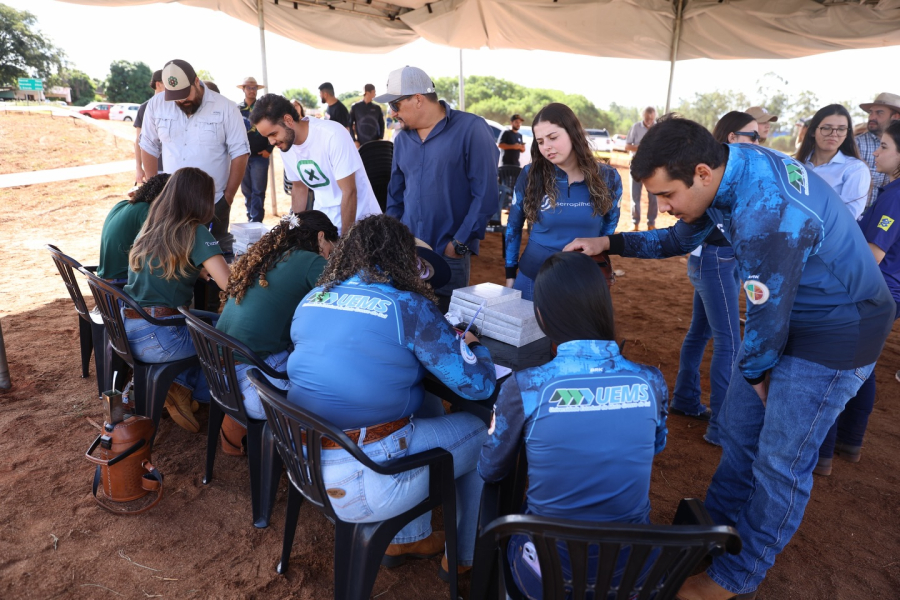 Sucesso de público marca o Dia de Campo do Amendoim em Eldorado