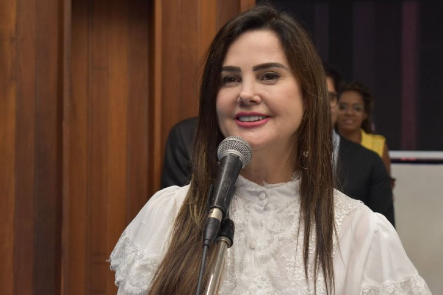 ALEMS aprova diretrizes de amparo e proteção às mães atípicas